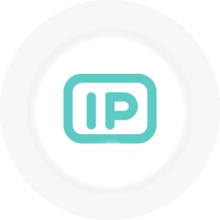 IPocto, Proxy IP, Dynamic IP Proxy, Residential IP Proxy, Web Scraping Proxy IP, High Anonymity Proxy IP, SOCKS5 Proxy, High Stability Proxy IP, IPRoyal, Proxy-Cheap, Webshare, evomi.